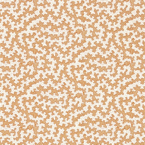 e7c1817f14181af716153471dea28c5c