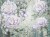 9b23844e8916af0d9b81ac2205cad6f1