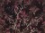 eb607220b550d2279cf9ba281650a7e0