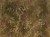 557d949904cd6c72f7460566afd3b0ad