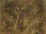 557d949904cd6c72f7460566afd3b0ad