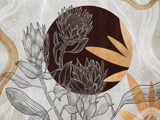 Wallcraft 810 31 2301 2023 Protea - mural kwiaty