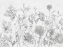 d6d8860236289a79149385330f685ed8