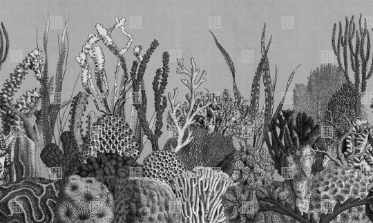 London Art 21044 02 Exclusive 21 See Sea - mural z akwarium