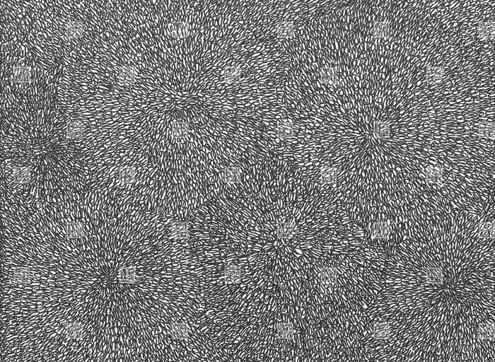 79f81bc870d34bc2f6dd8e2dfbb747e4