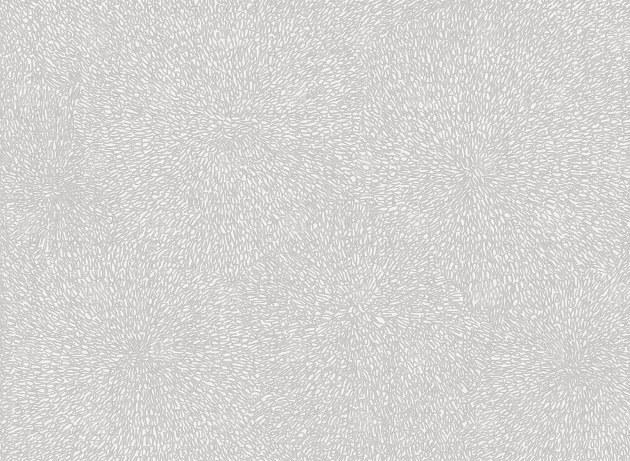 London Art 18032-03 Exclusive 18 Vortici - mural artystyczny