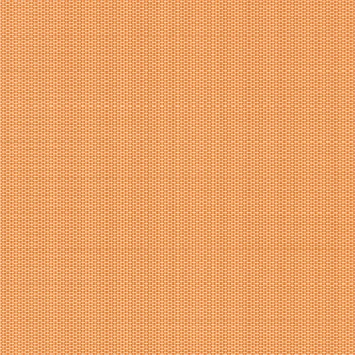 c35a3edb4f3b381ee3afb9193b808d56