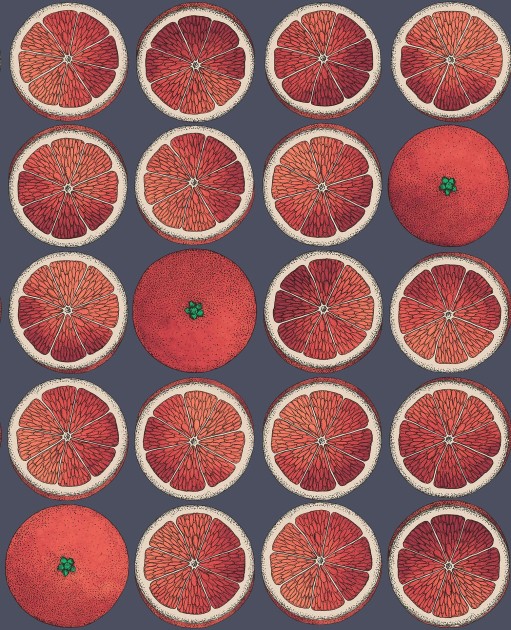 Cole & Son 114/24046 Fornasetti Selection Arance - tapeta z motywem owoców