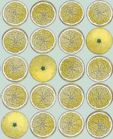 Cole & Son 114/24048 Fornasetti Selection Arance - tapeta z motywem owoców