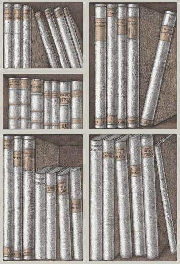 Cole & Son 114/15029 Fornasetti Selection Ex Libris - tapeta z motywem półki z książkami