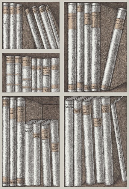 Cole & Son 114/15029 Fornasetti Selection Ex Libris - tapeta z motywem półki z książkami