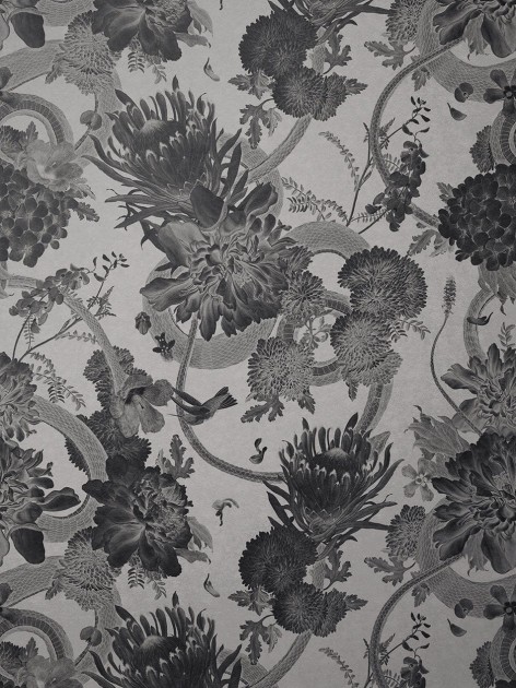 Divine Savages DVS126 Forbidden Bloom Monochrome - tapeta w kwiaty