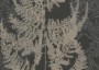 aef5f28ac218e727764b5b7eb0dc3091