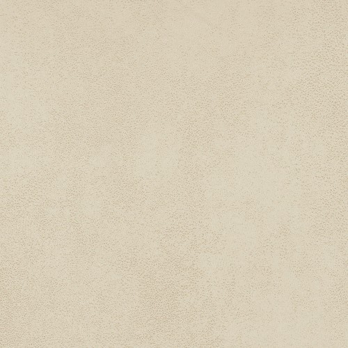 5ba4539caf7ca6a59b0cff02a1772605