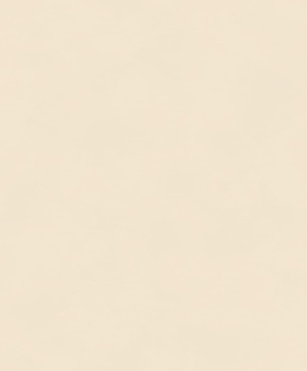 Khroma BLONE1005 The Colour Book Color Parchment - tapeta jednolita