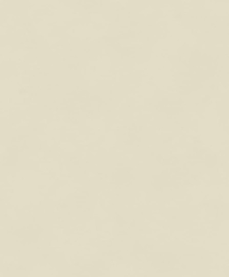 Khroma BLONE1007 The Colour Book Color Cement - tapeta jednolita