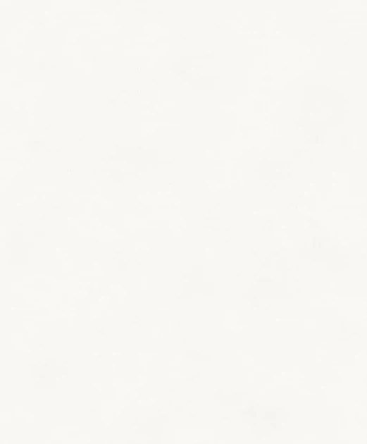 Khroma BLONE1021 The Colour Book Color Ash - tapeta jednolita