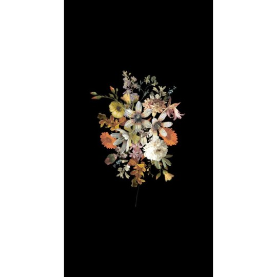 Esta 159215 Vintage Flowers still life of flowers multicolor on black - mural z motywem kwiatów