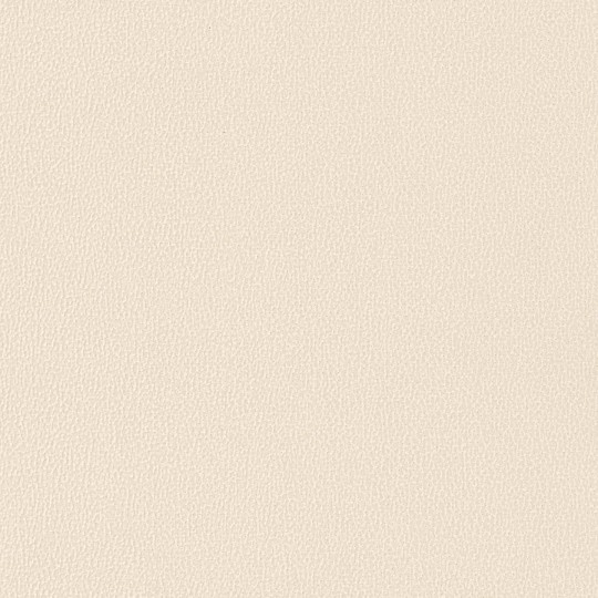 Texdecor DUNE90230201 Vinacoustic Dune - tapeta akustyczna winylowa imitująca skórę