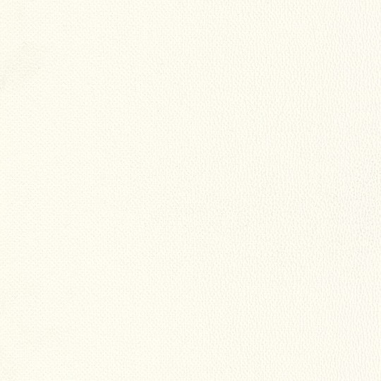 Texdecor DUNE90239106 Vinacoustic Dune - tapeta akustyczna winylowa imitująca skórę