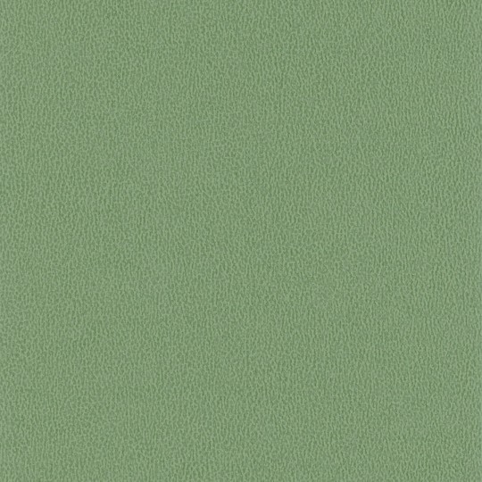 Texdecor DUNE90230431 Vinacoustic Dune - tapeta akustyczna winylowa imitująca skórę