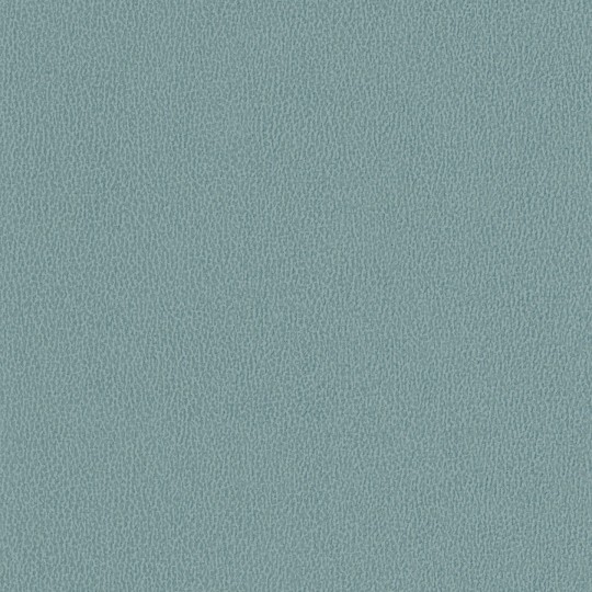 Texdecor DNE90230549 Vinacoustic Dune - tapeta akustyczna winylowa imitująca skórę