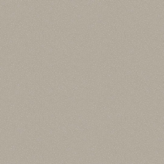 Tapeta Cole & Son Landscape Plains Pebble 106/2016