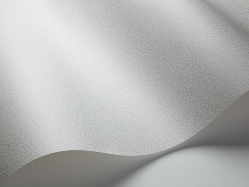 Tapeta Cole & Son Landscape Plains Pebble 106/2017