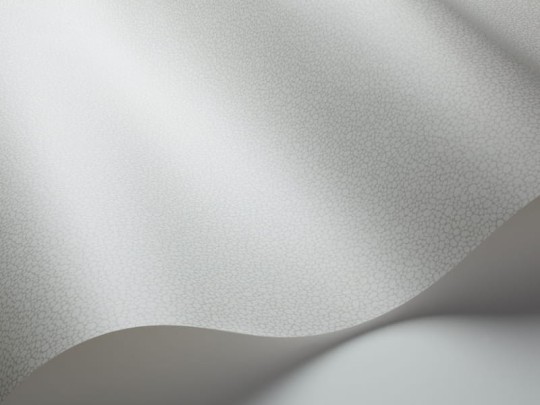Tapeta Cole & Son Landscape Plains Pebble 106/2017