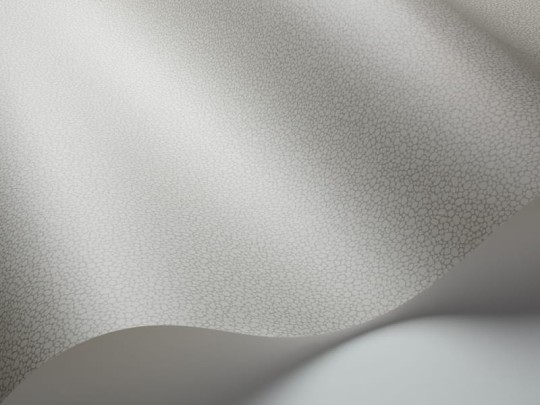 Tapeta Cole & Son Landscape Plains Pebble 106/2018