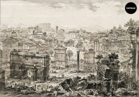 Wallpepper 050-43 Capsule Museum Collection Veduta di Campo Vaccino by Giovanni Battista Piranesi - mural z motywem obrazu Giovanni Battista Piranesi