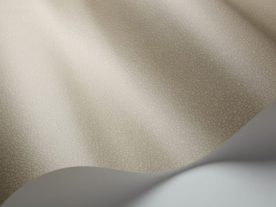 Tapeta Cole & Son Landscape Plains Pebble 106/2020