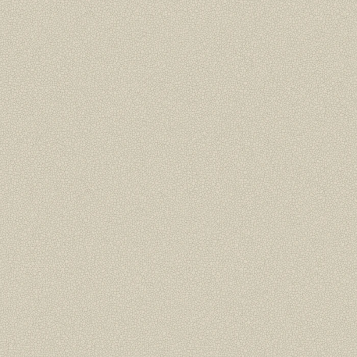 5900245657c88d49fd57d7861263e0f2