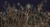 4f349ec28fd91b998ebcd52ceee1c8bd