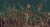 1fcbcfa23202ba14e3bafe84218b6aff