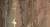41a5e6c24bc6bd0b8d0dd82fdfa15b39