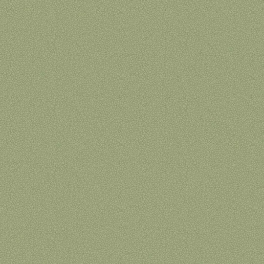 Tapeta Cole & Son Landscape Plains Pebble 106/2026