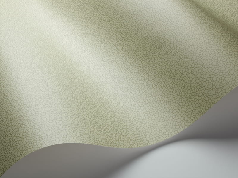 Tapeta Cole & Son Landscape Plains Pebble 106/2026