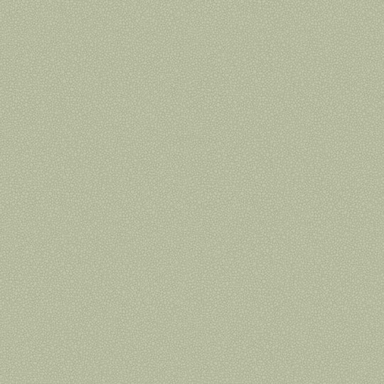 Tapeta Cole & Son Landscape Plains Pebble 106/2027