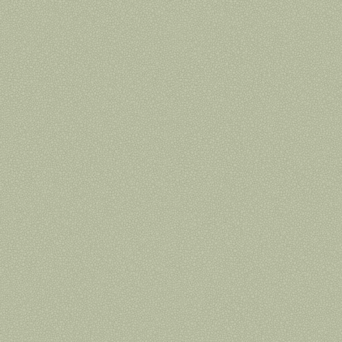 14b31ccc5df3faefcb83d485f15135d7