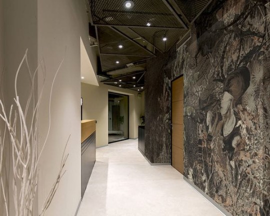 Muance MU14067 Edition 4 - Dusk Along the Nile - mural z motywem lasu tropikalnego