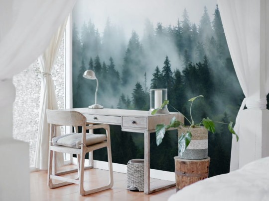 BN 300356 BN Studio Cloudy Woods - mural z motywem lasu we mgle