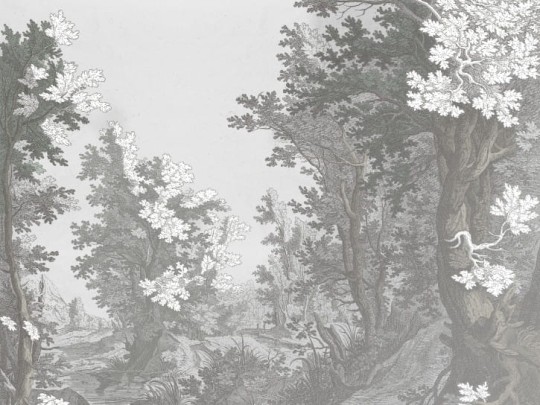 BN 200422 BN Studio Forest Drawing - mural z motywem lasu