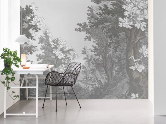 BN 200422 BN Studio Forest Drawing - mural z motywem lasu