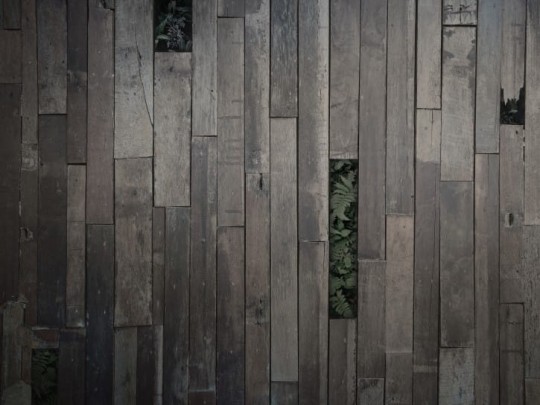 BN 200406 BN Studio Wooden Wall - mural z motywem desek i liści