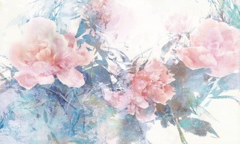 586f42288605dd2e70349cb916ea80e0