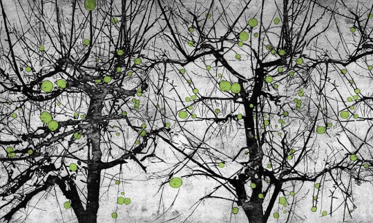 Wonderwall 35 0553 08 Vibrant - mural z motywem tajemniczych drzew z owocami