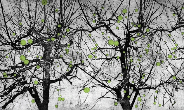 Wonderwall 35 0553 08 Vibrant - mural z motywem tajemniczych drzew z owocami