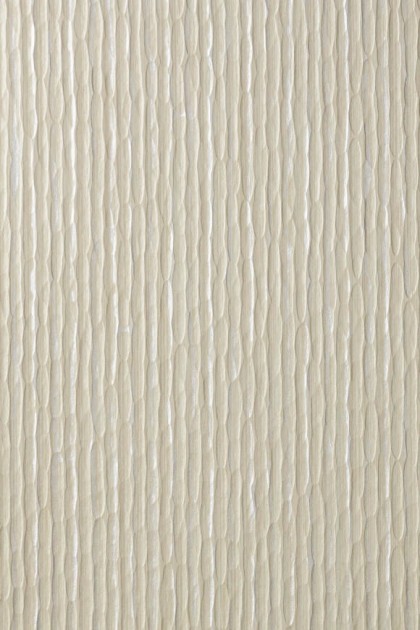Arte 67265 Aspen - tapeta obiektowa o wzorze kory drzewa