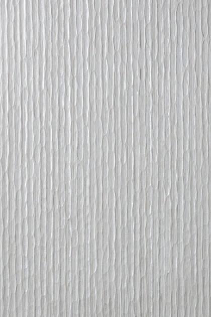 Arte 67267 Aspen - tapeta obiektowa o wzorze kory drzewa